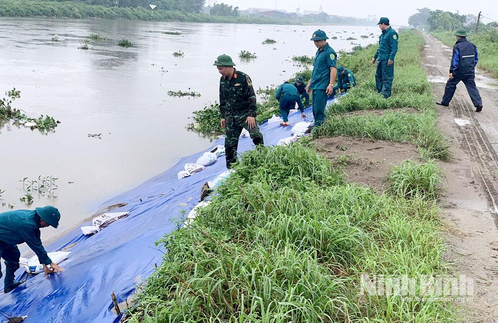 Cán bộ, chiến sĩ Ban Chỉ huy phòng thủ khu vực 2-Tam Điệp (Bộ CHQS tỉnh Ninh Bình) trực tiếp tham gia kè, đắp những vị trí có nguy cơ xói lở.