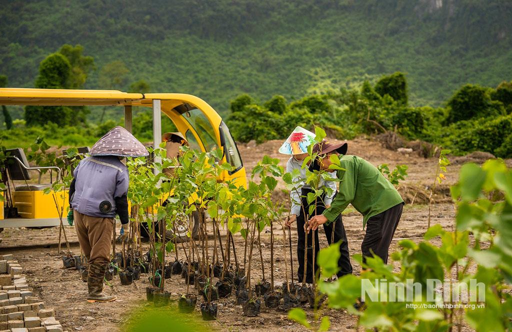 1.945 cây xanh đã được trồng tại “Vườn Ươm Đất Việt” với sự tham gia đông đảo của nhân và du khách 34 tỉnh thành trên cả nước.