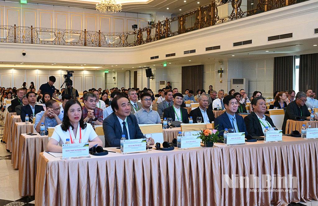 Các đại biểu dự hội nghị.