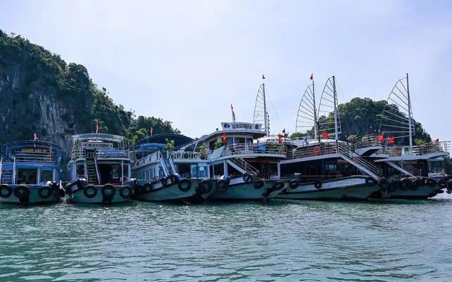 Neo đậu tàu thuyền tránh trú bão số 9.