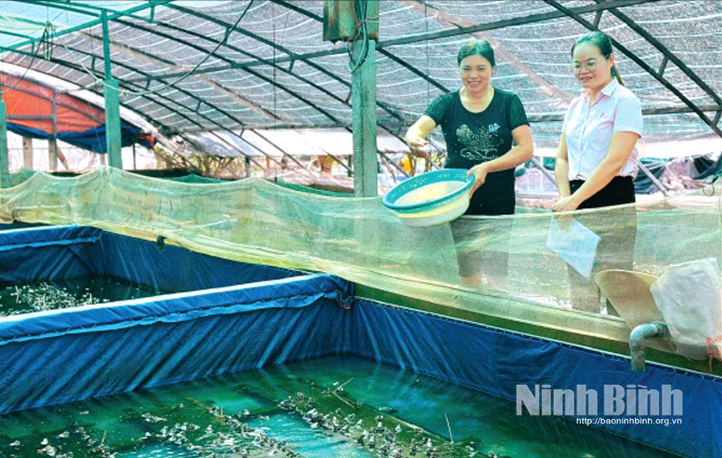 Chị Vũ Thị Nhu, xóm 6, xã Rạng Đông với mô hình nuôi ếch, cá lóc bông. Ảnh: Nguyễn Lựu