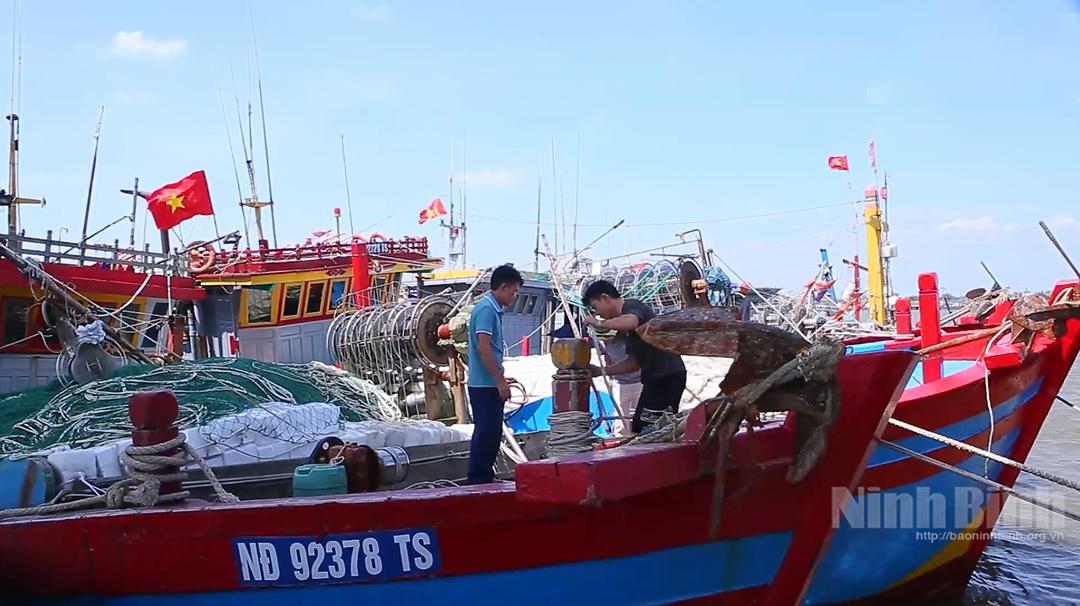 Ngư dân neo đậu tàu thuyền khai thác thủy sản tránh trú bão số 10 tại Cảng cá Ninh Cơ.