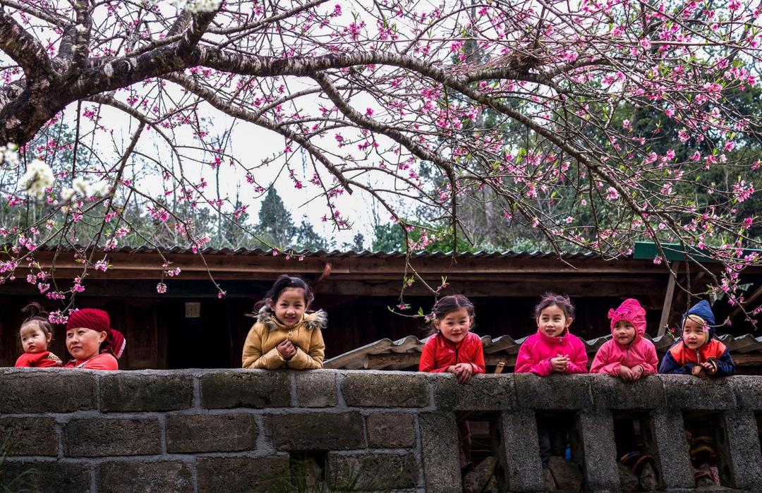 Ban Bí thư yêu cầu bảo đảm mọi nhà, mọi người dân đều được vui Xuân, đón Tết cổ truyền Bính Ngọ năm 2026 an toàn, lành mạnh, tiết kiệm.