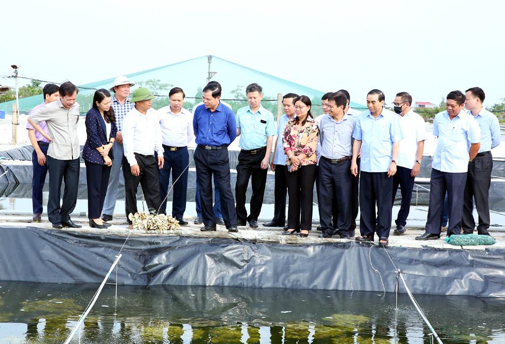 Đoàn công tác Bộ Nông nghiệp và Phát triển nông thôn làm việc tại Ninh Bình