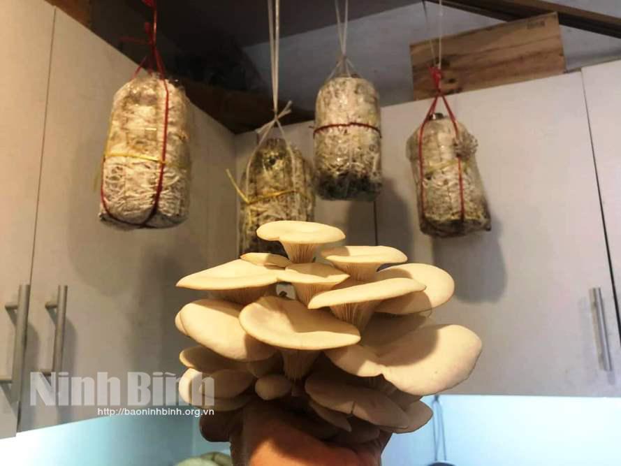 Ứng dụng khoa học và công nghệ trong phát triển kinh tế địa phương