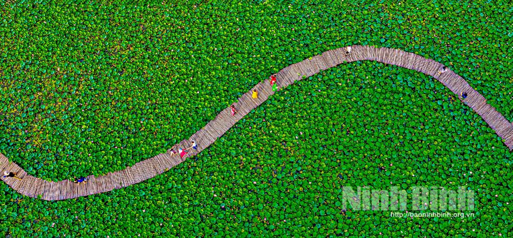 Đôi điều về "Triển lãm nhiếp ảnh Việt Nam qua ống kính nhiếp ảnh gia quốc tế"