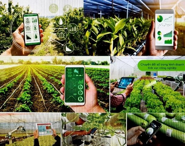 Phát triển hợp tác xã thông minh, chuyển đổi số, thích ứng biến đổi khí hậu