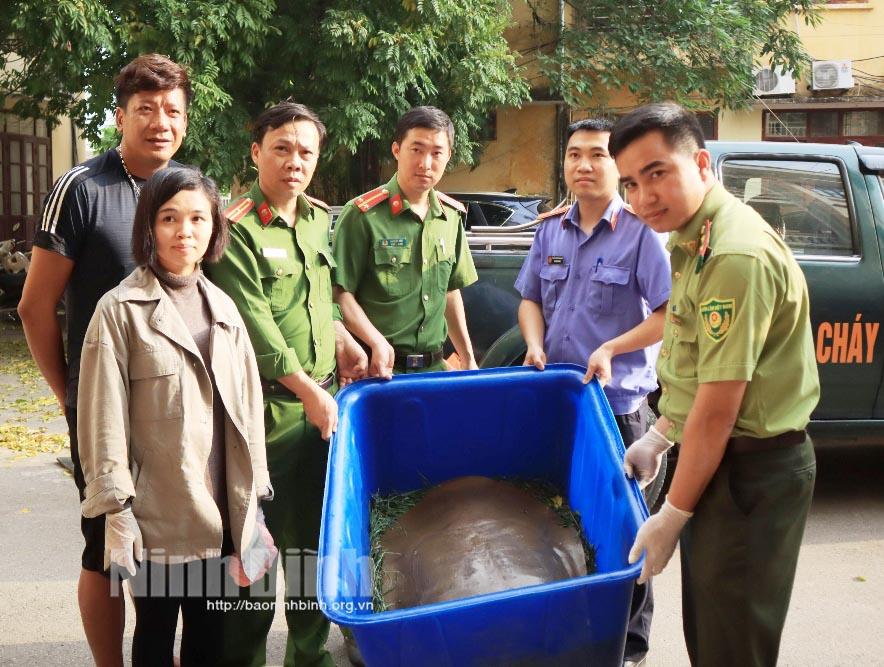 Cứu hộ cá thể Giải "khủng" nhất từ trước đến nay