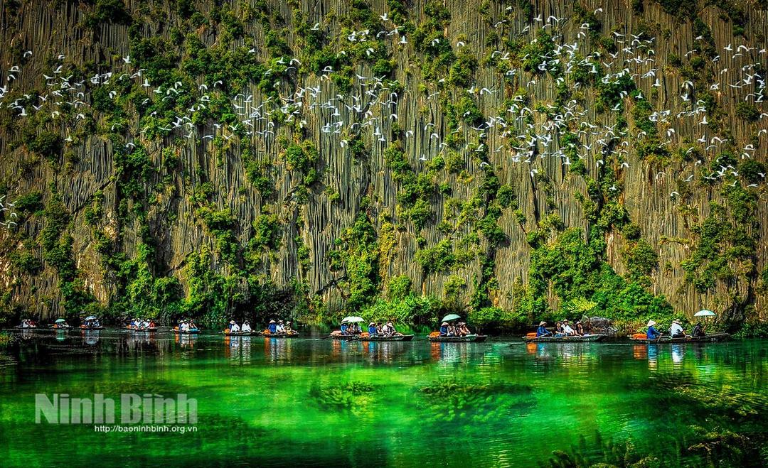 NSNA Ninh Mạnh Thắng đoạt 2 huy chương tại Cuộc thi ảnh quốc tế