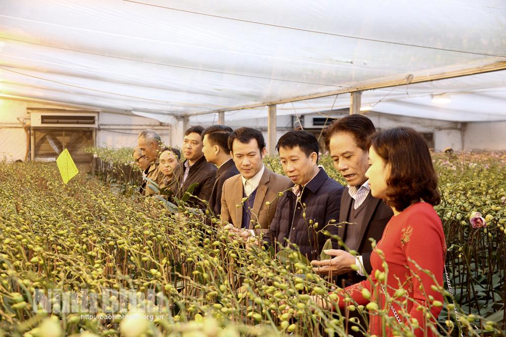 Nghiệm thu, đánh giá nhiệm vụ khoa học và công nghệ cấp tỉnh