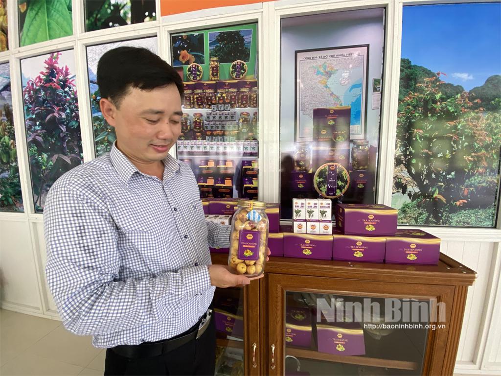 Nho Quan: Hiệu quả từ thực hiện Nghị quyết 15 về phát triển du lịch