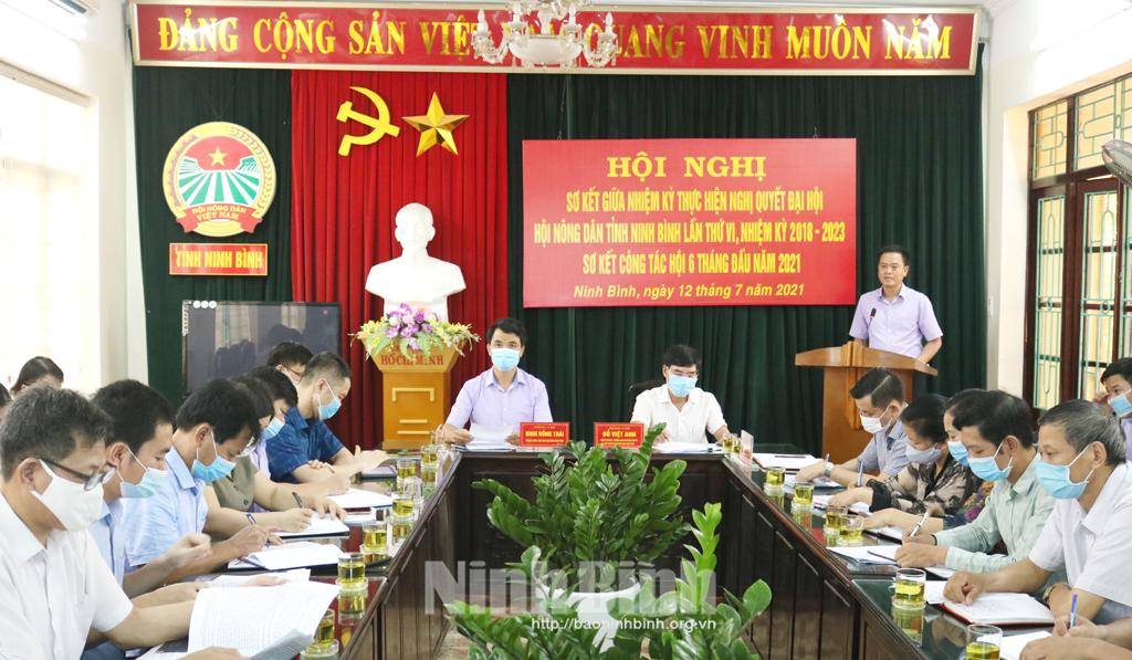 Hội Nông dân tỉnh sơ kết giữa nhiệm kỳ