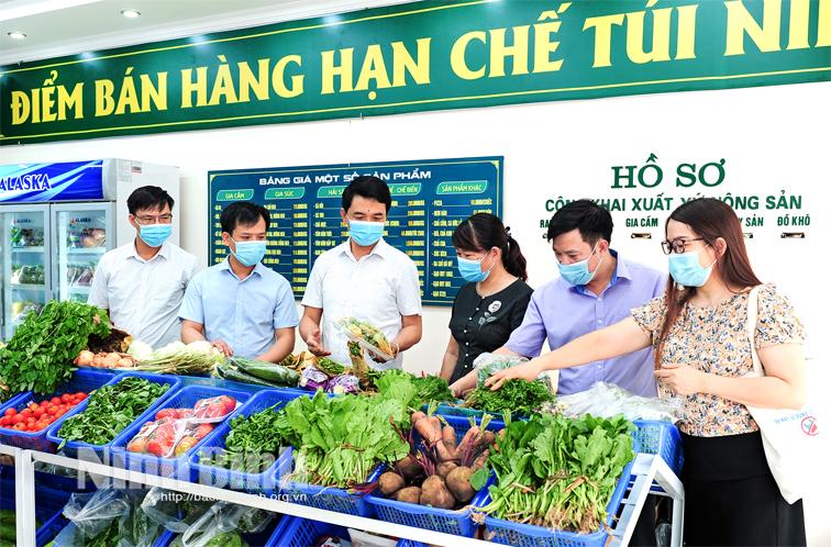 Hội Nông dân tỉnh: Qua nửa nhiệm kỳ thực hiện nghị quyết Đại hội lần thứ VI