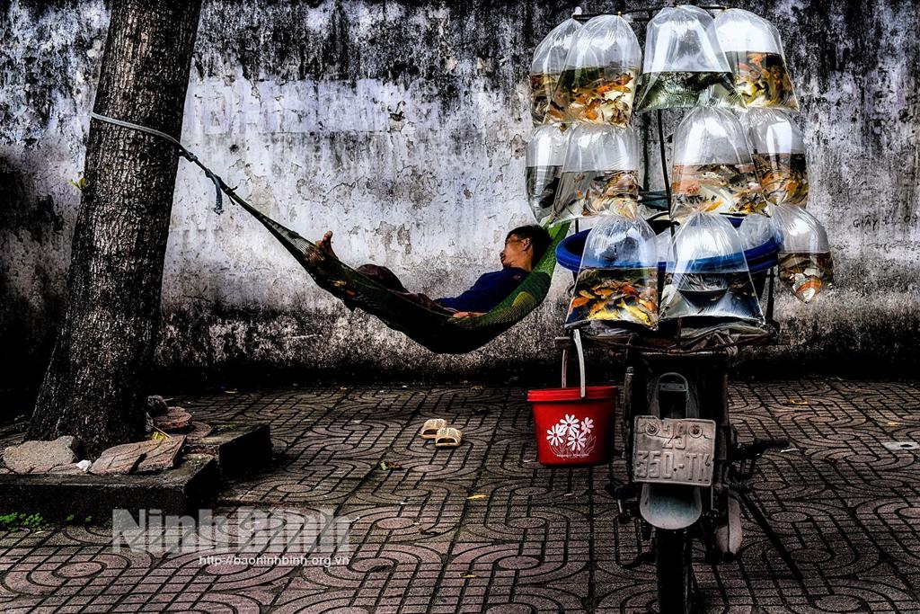 Nhiếp ảnh Ninh Bình và những sân chơi quốc tế