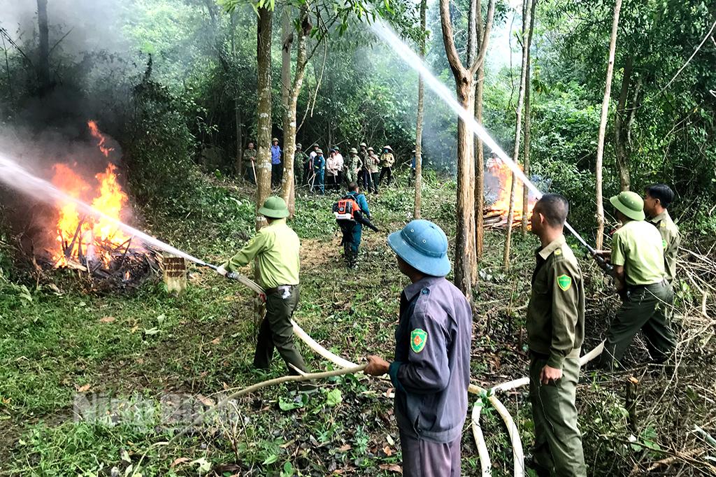 Diễn tập chữa cháy rừng cấp xã tại Yên Đồng