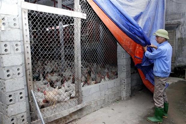 Không khí lạnh tràn về, vùng núi cao có nơi xuống dưới 5 độ C