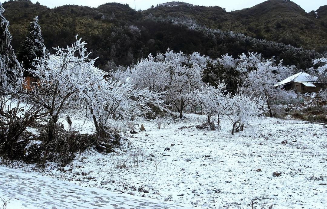 Bắc Bộ xảy ra đợt rét đậm rét hại diện rộng, nguy cơ băng giá từ 17/12