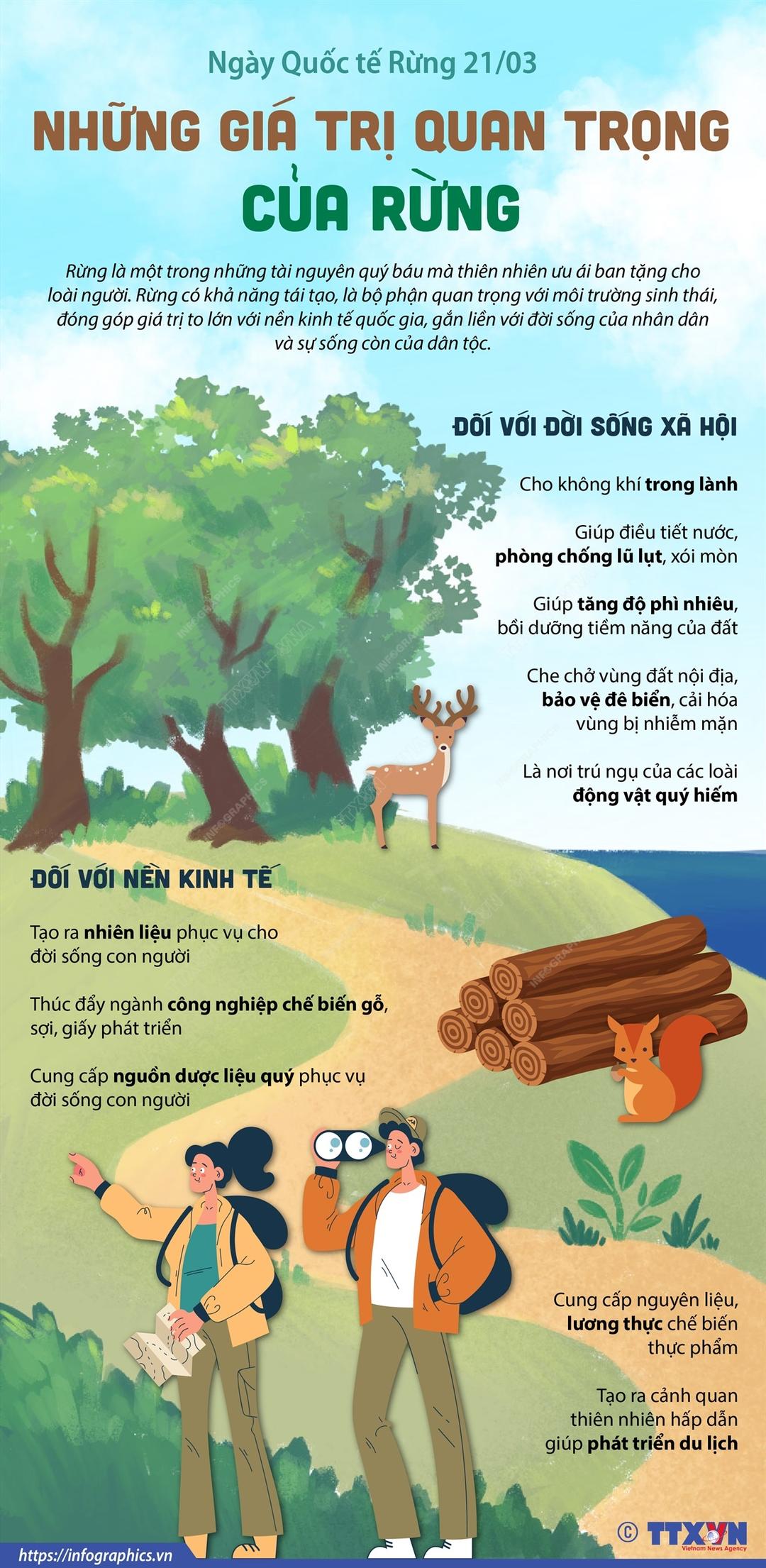 Ngày Quốc tế Rừng 21/3: Những giá trị quan trọng của rừng