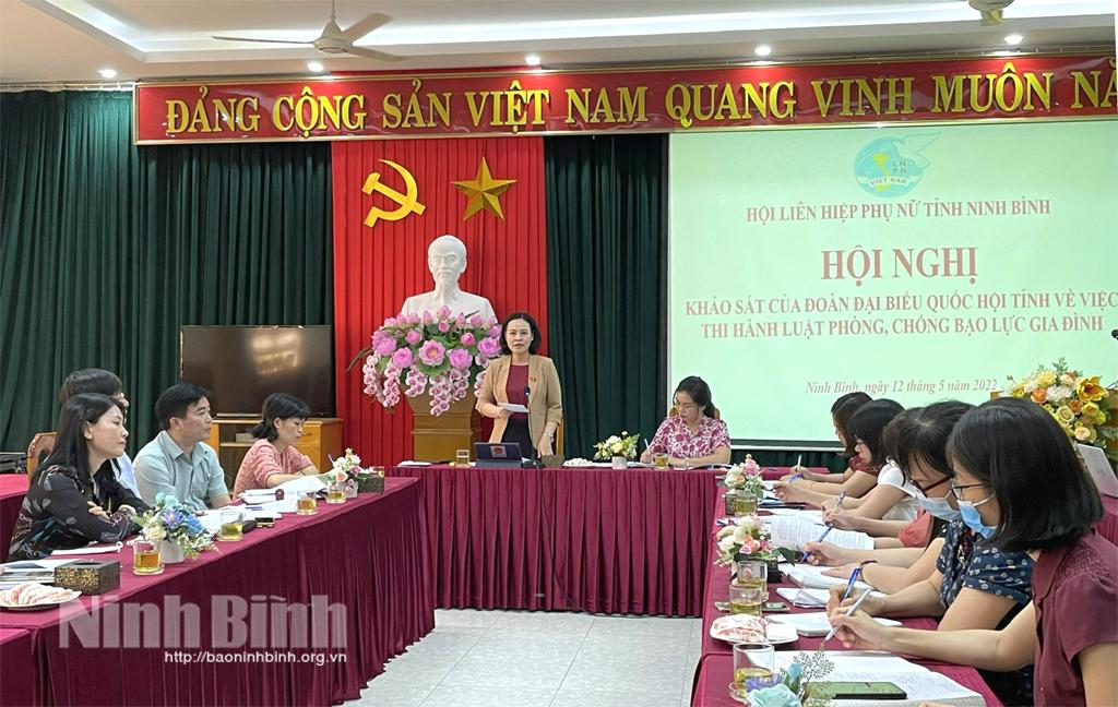 Khảo sát việc thực hiện Luật Phòng, chống bạo lực gia đình