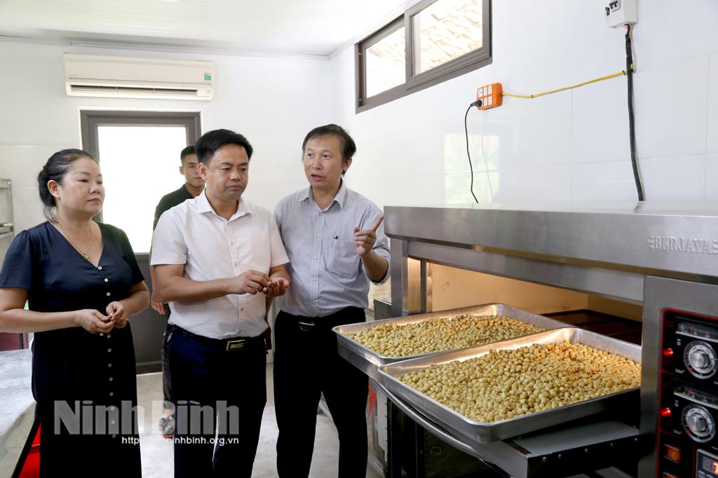 Phát triển các giống hoa sen theo chuỗi giá trị