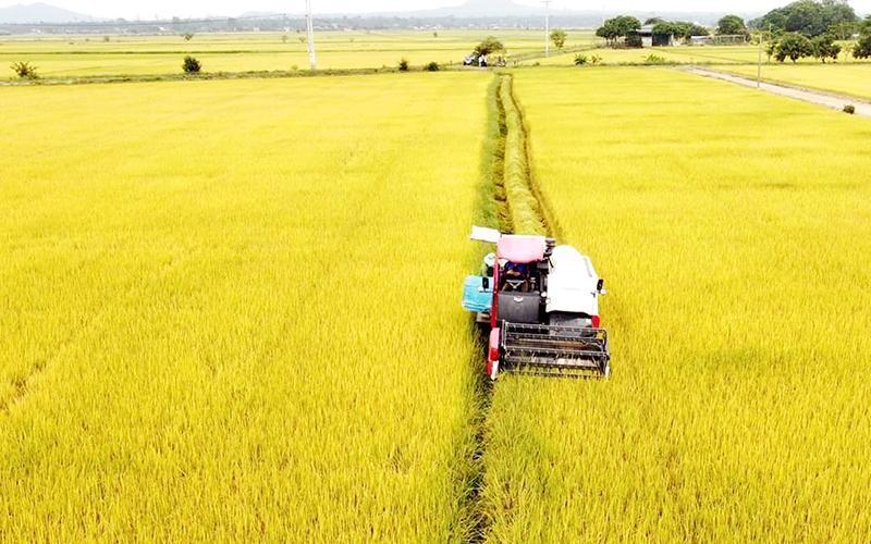 Chuyển đổi số trong nông nghiệp tại Tây Nguyên