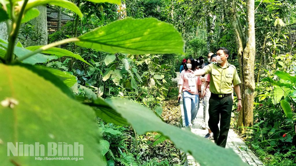 Năm thứ 4 liên tiếp, Cúc Phương là Vườn Quốc gia hàng đầu châu Á