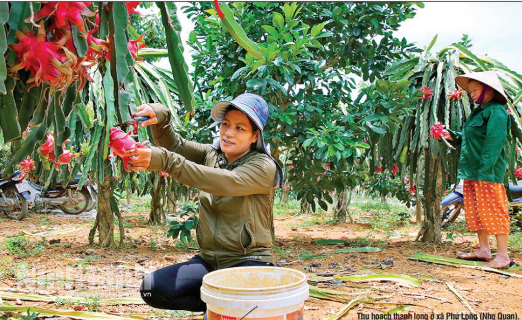 Đánh thức khát vọng để người nghèo vươn lên