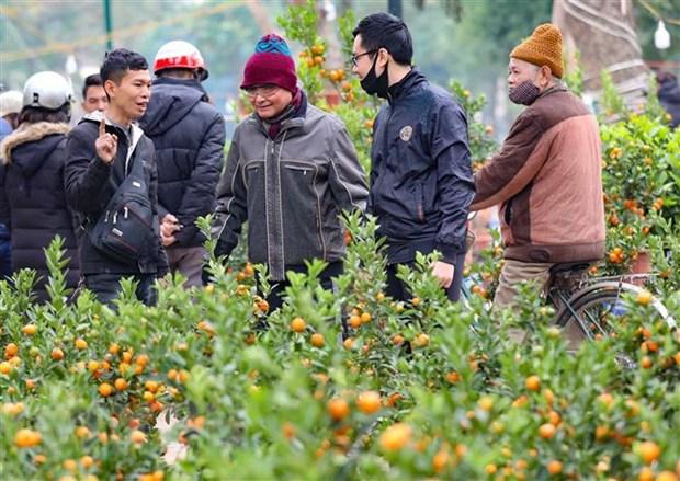 Bắc Bộ, Bắc Trung Bộ duy trì tình trạng rét từ ngày 30 đến mùng 8 Tết