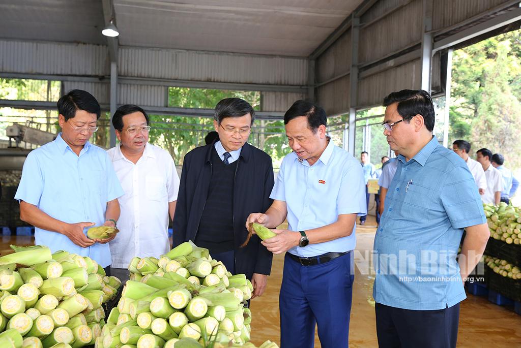 Đồng chí Bí thư Tỉnh ủy làm việc với Công ty Cổ phần thực phẩm xuất khẩu Đồng Giao