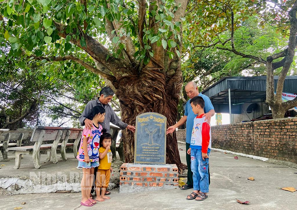 Ngôi đình cổ sở hữu nhiều cây Di sản nhất Ninh Bình