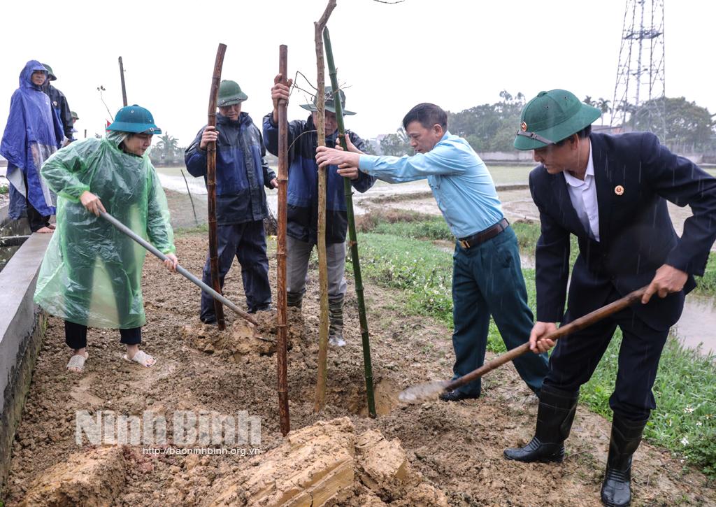 Hội Cựu chiến binh tỉnh phát động Tết trồng cây