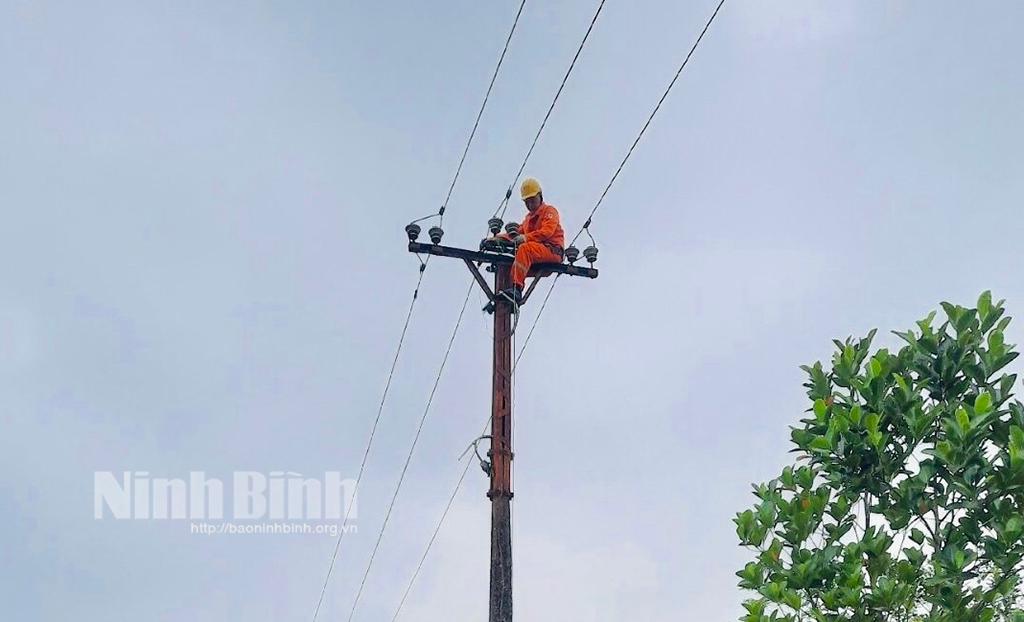 Công ty Điện lực Ninh Bình đầu tư xây dựng hệ thống lưới điện, đáp ứng nhu cầu phát triển