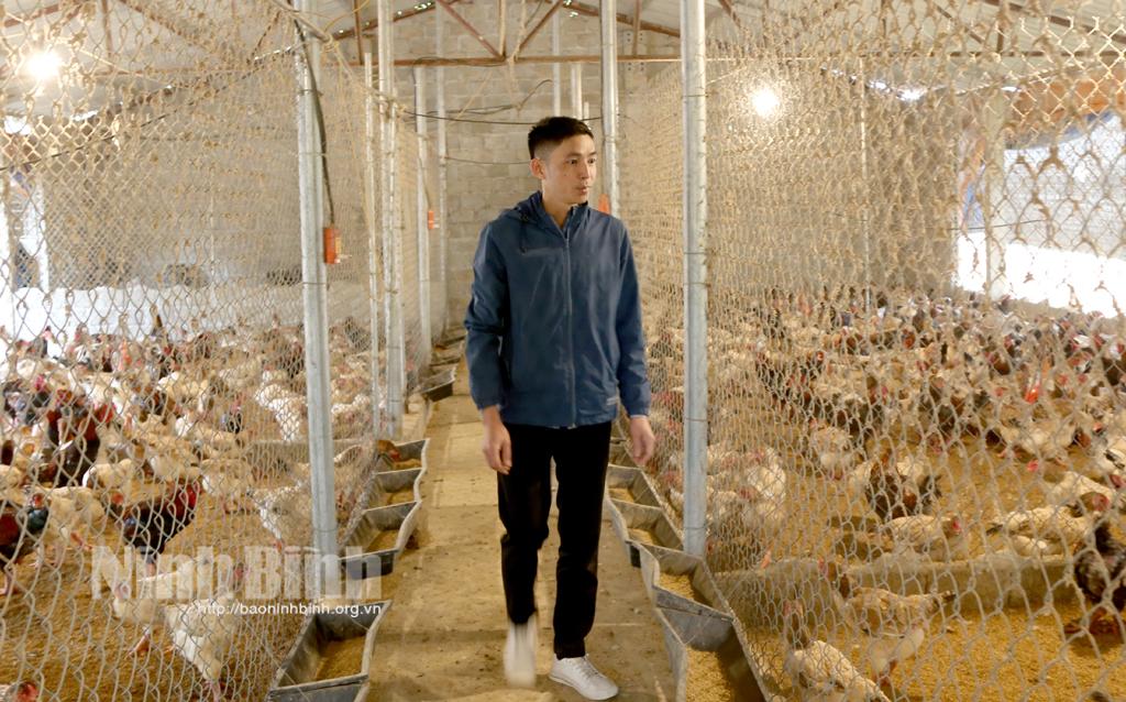 Nhân giống và nuôi thương phẩm gà lai Đông Tảo theo hướng an toàn sinh học