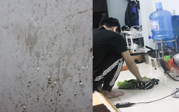 Bắc Bộ hết hiện tượng nồm ẩm, chuẩn bị đón nắng nóng cục bộ