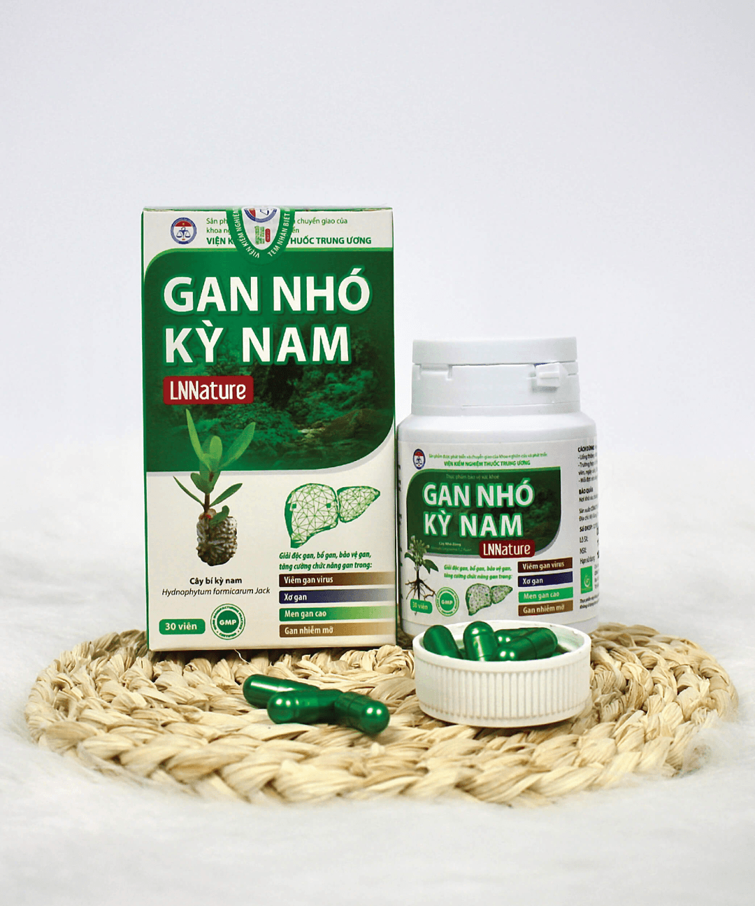 Gan Nhó Kỳ Nam có trị được viêm gan B?