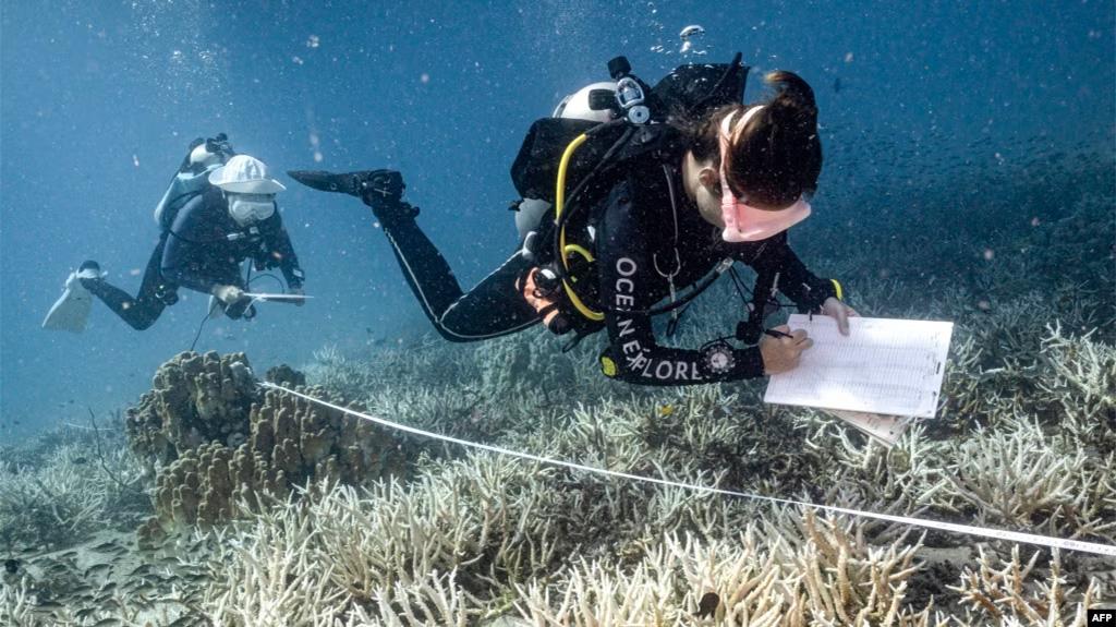 Báo động tốc độ ấm lên của đại dương toàn cầu