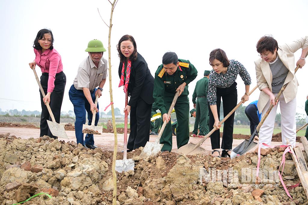 Hội Cựu chiến binh tỉnh phát động "Tết trồng cây" năm 2024