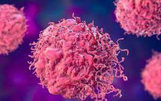 WHO cảnh báo số ca mắc ung thư sẽ tăng