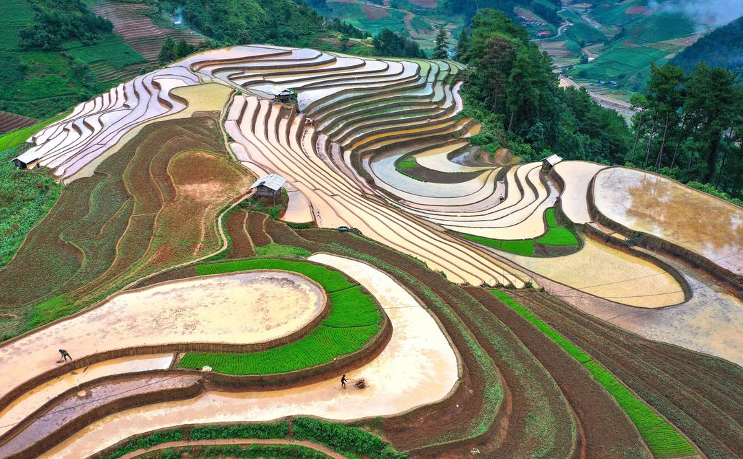 Đến Mù Cang Chải ngắm dù lượn vào dịp nghỉ lễ 2/9