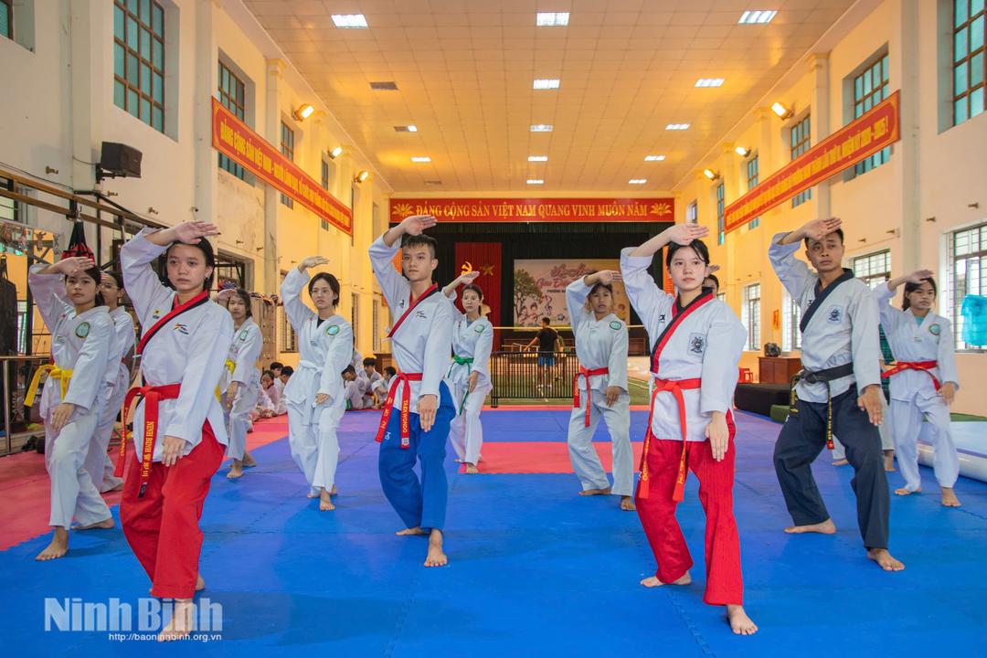 Góp phần quảng bá tinh hoa võ thuật Ninh Bình